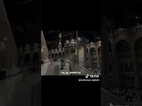 أنت مفكر احنا لينا حد غير ربنا