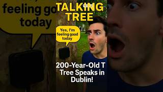 200 Years Old Tree Talking at Trinity Dublin 😲 | Trinity AI revolution