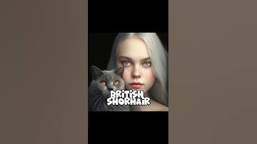 Humanoid cat breeds created by AI - Part 1