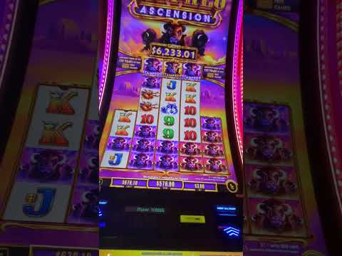 www.high 5 casino | Taj Mahal#shorts#tajmahal#brotherslifestyle84#youtubeshorts#trending
