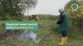 Contractor shows how to remove Japanese Knotweed without digging