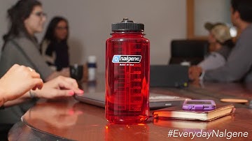 Everyday Nalgene at Complete Outdoors NZ