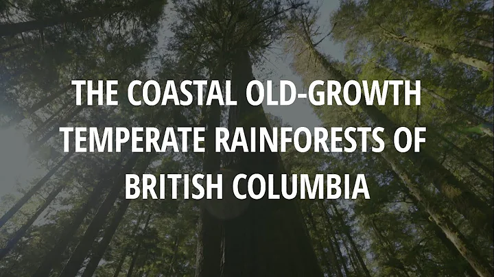 The Old-Growth Coastal Temperate Rainforests of British Columbia (Closed Captioned)