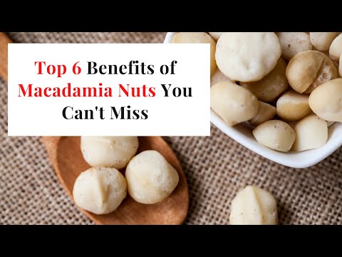 🔸Top 6 Benefits of Macadamia Nuts You Can&rsquo;t Miss || Macadamia Nuts Benefits || Rich In Anti-oxidants