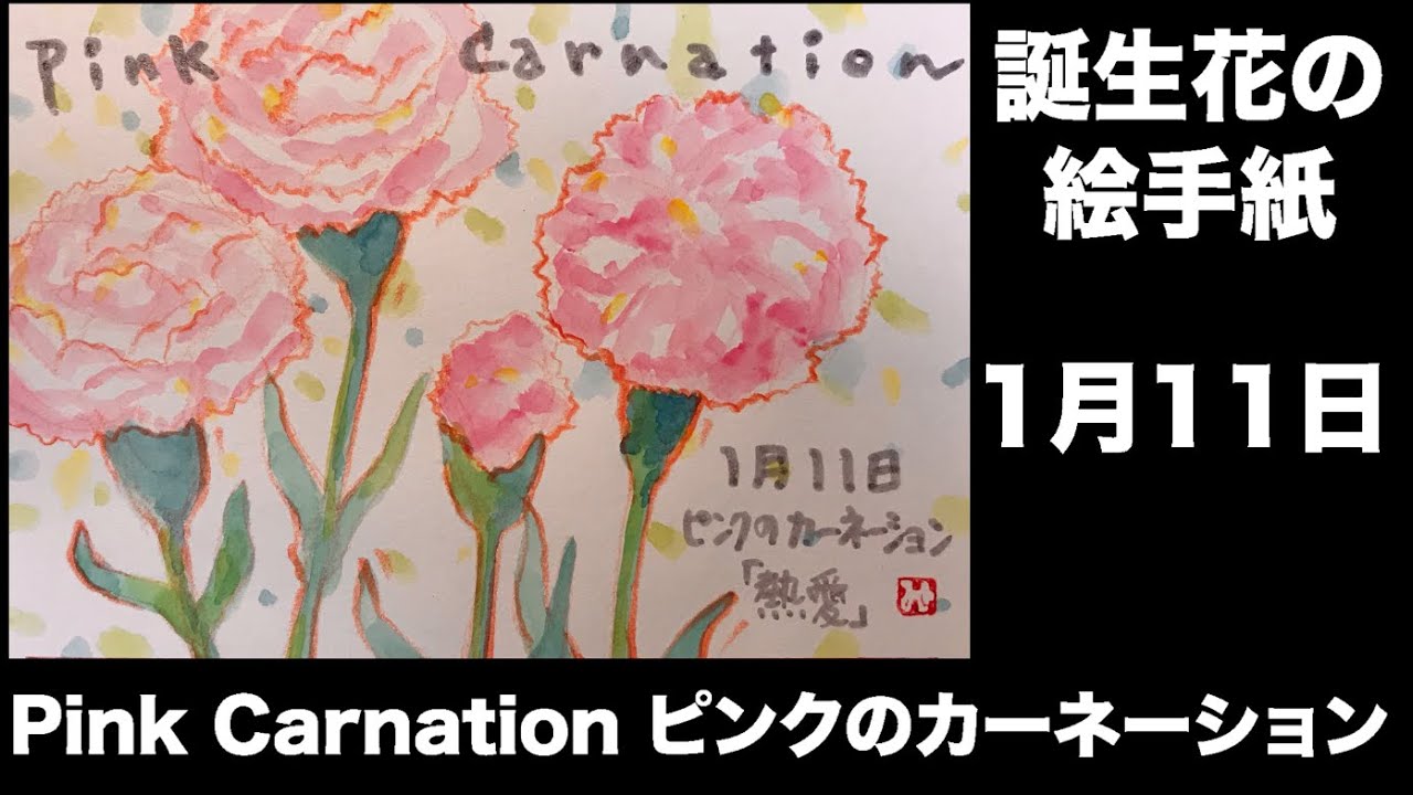 誕生花の絵手紙 1月11日 Pink Carnation ピンクのカーネーション Youtube
