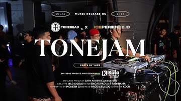 TONEJAM X ICEPERIENCE VOL 44 REGGAE | YUPS