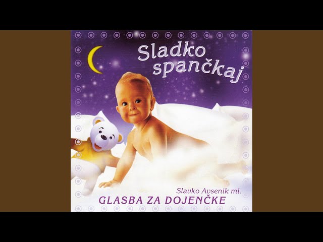 SLAVKO AVSENIK - PA SE SLIS