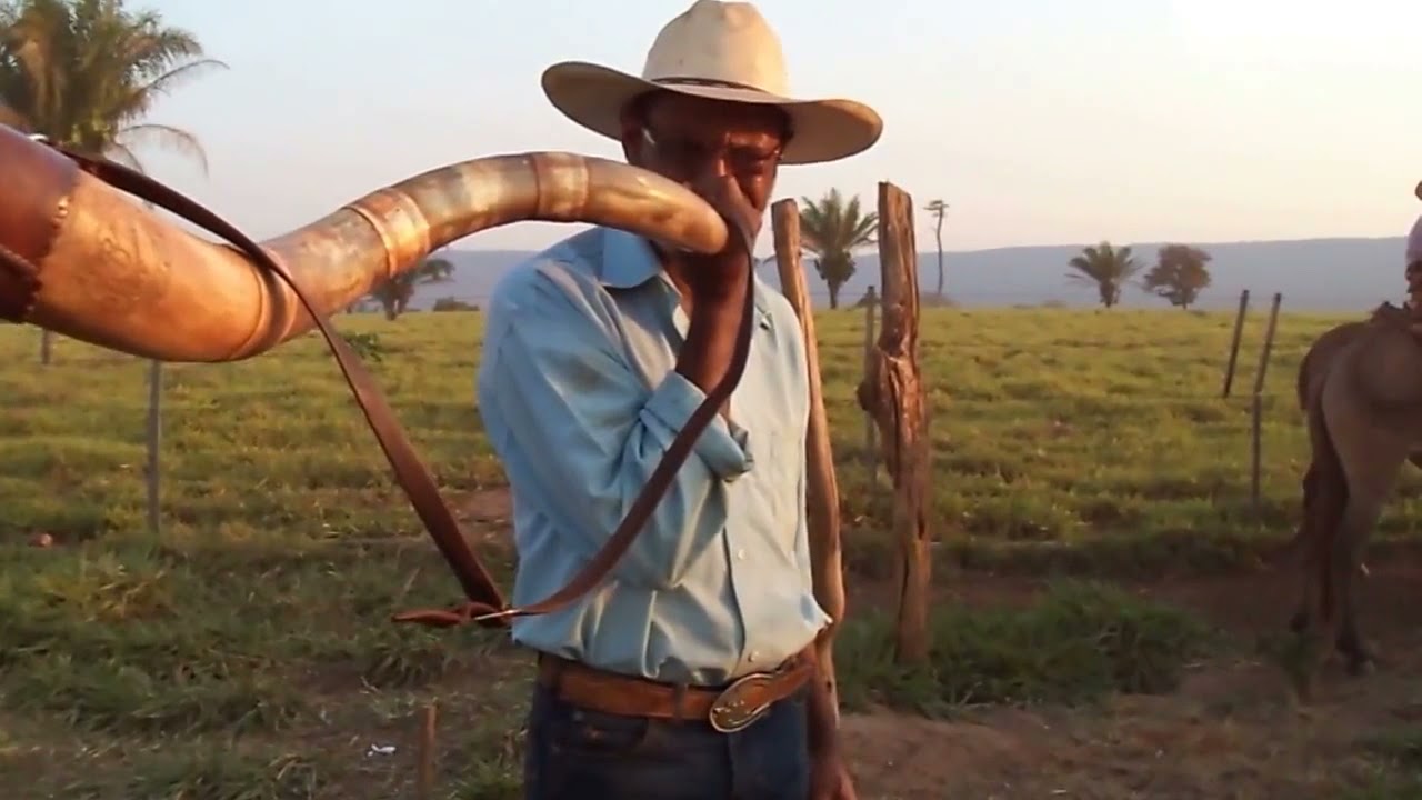 Comitiva de peão de boiadeiro em Mato Grosso do Sul, Stock image