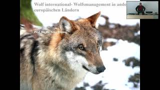 Wolf international - Wolfsmanagement in anderen europäischen Ländern