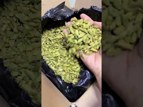 بخور من البحر والصدف بخور معمول دوسري أصلي جنة الخير