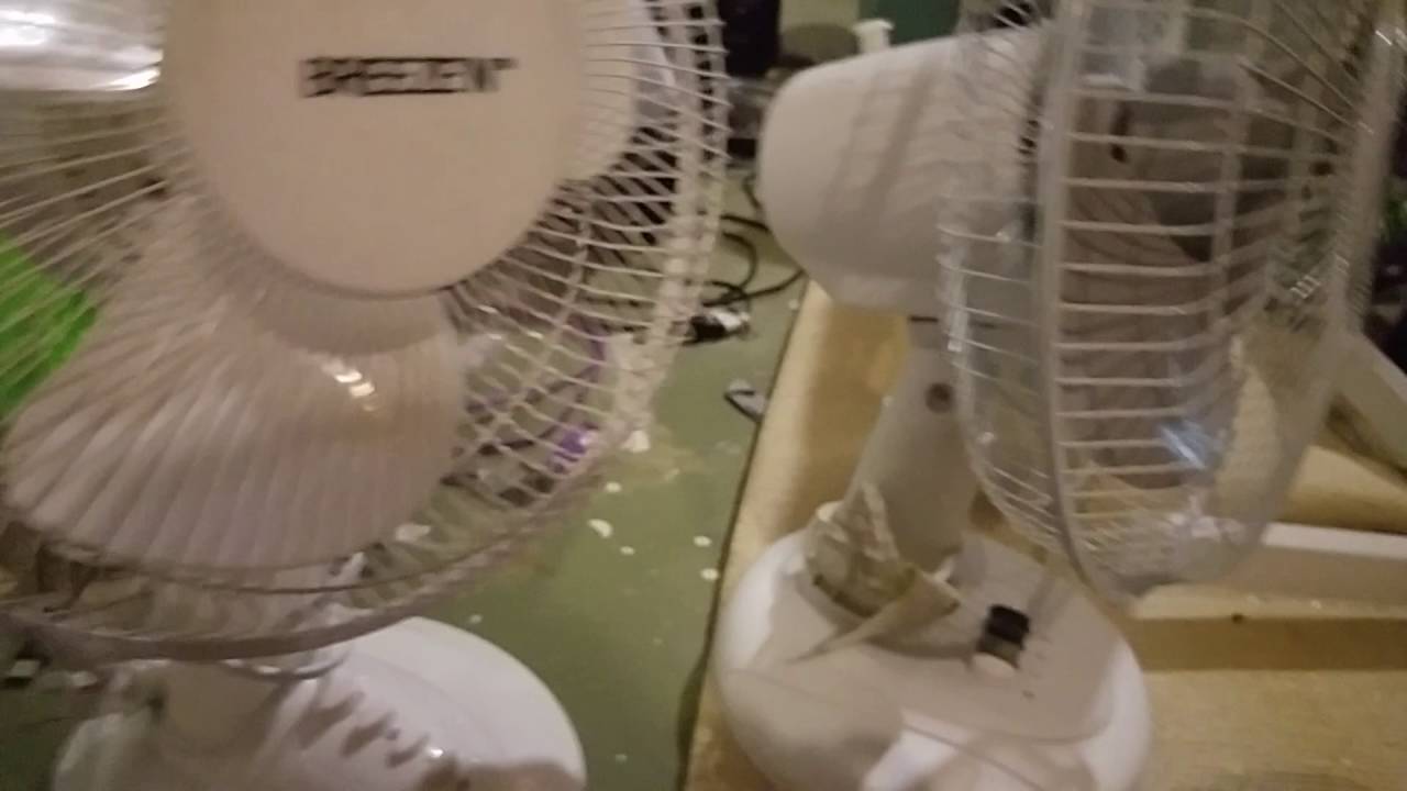 Fan Collection YouTube