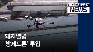 [뉴스리포트]돼지열병 방역에 '드론 소독' 실시/190925