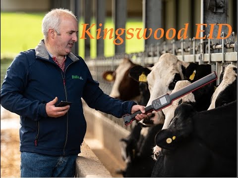 Kingswood EID App