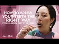 The RIGHT Way to Brush Your Teeth Revealed by Celebrity Dentist -  Sara Jane Ho Etiquette School