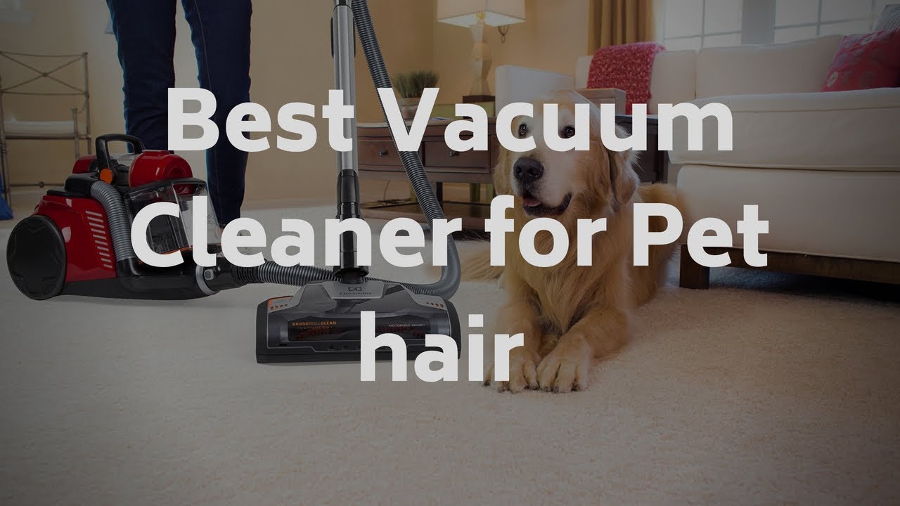 Top 7 Best Vacuum Cleaners For Pet Hair 2018 (Toplist + Reviews) YouTube