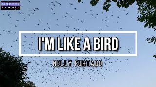 I'm Like A Bird - Nelly Furtado (Lyrics Video)