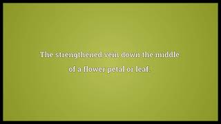 Midrib Meaning