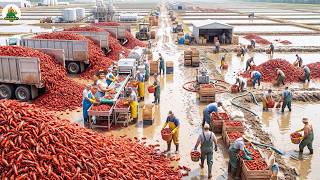 Finding the Beginning of Louisiana’s Crawfish Industry