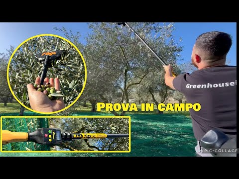 Raccolta olive con Oliviero Flex pc cordless - batteria 21.6 volt