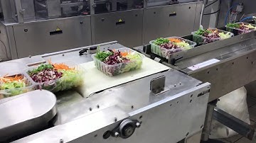 GNA - Flow Pack machine mod. CAPEREA