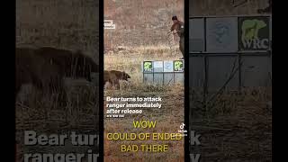 Guy almost caught by bear, ooof yo 😱