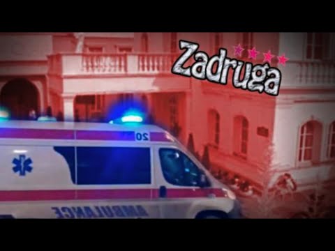 Video: Izbira Pasem In Modne Muhe Imajo Posledice Za Pse