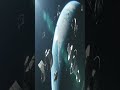 Why a Paint Fleck Is Deadlier Than a 9mm Bullet (in Orbit) #shorts