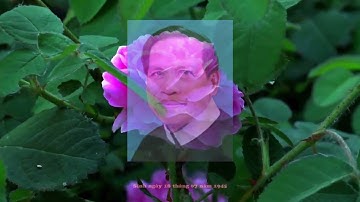 ChaPheroNguyenThanhLiem,CSsR.2022