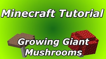 Minecraft Tutorial | Growing Giant Mushrooms without Mycelium (WORKS IN 1.8)(SIMPLE)