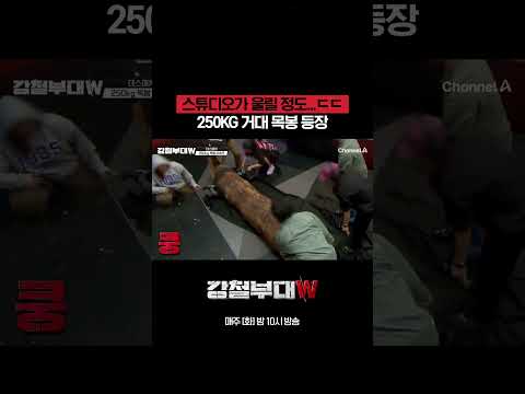 스튜디오를 <strong>압도한</strong> 괴물체(?)등장 #강철부대W