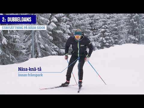 Video: Hur Man Väljer Skidor För Skidåkning