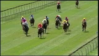 Vidéo de la course PMU PRIX DOWNLOAD THE RACE CARD ONLINE WWW.GOLDCIRCLE.CO.ZA MAIDEN JUVENILE PLATE