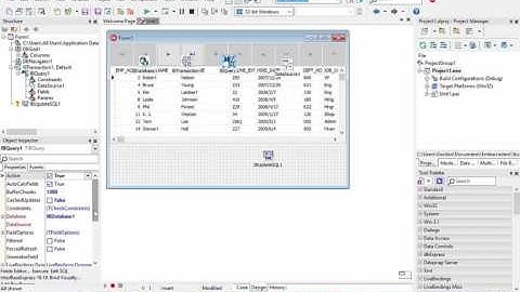 Using Delphi and InterBase Express to Create an Application