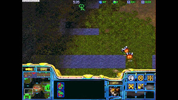 Starcraft Classic Cat n Mouse - Realtime Playing!