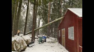 Tree over the stable! Malik winter storm 2022. Best way to remove this?
