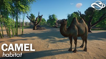 Camel Habitat 🐫 Planet Zoo | Speed Build