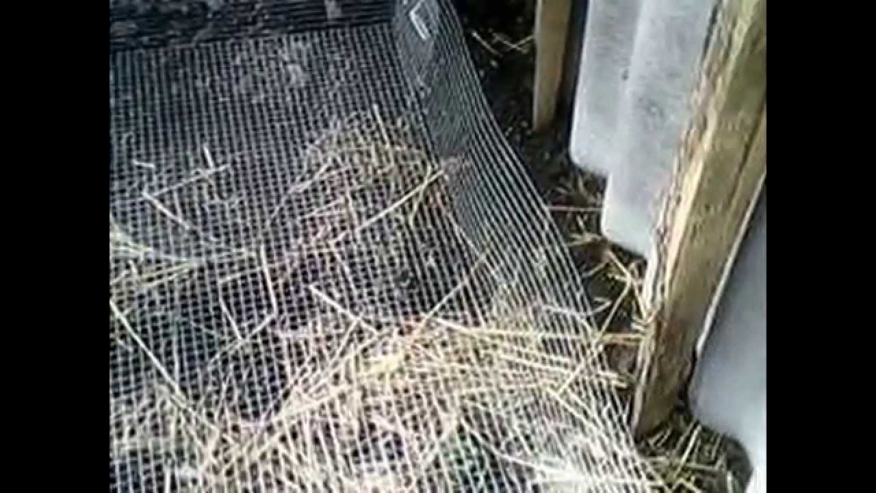 Сделать червятник своими руками Сделать червятник своими руками