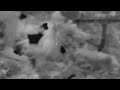 IDF strikes on Hezbollah infrastructure in Lebanon