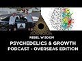 Psychedelics, shadow and growth: Rebel Wisdom Podcast - San Francisco Edition