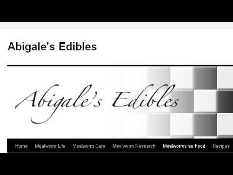 camera iphone 8 plus apk The Best Food For Mealworms