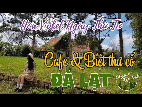 biệt thự hoa trà đà lạt New Update Biệt Thự Cổ Đà Lạt-Cafe Hoa Violet Ngày Thứ Tư/Ngắm chuỗi biệt thự cổ trên con đường đẹp nhất Đà Lạt