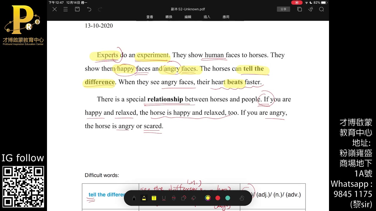 F1 F2 F3 Eng Horses Can Read Emotions YouTube