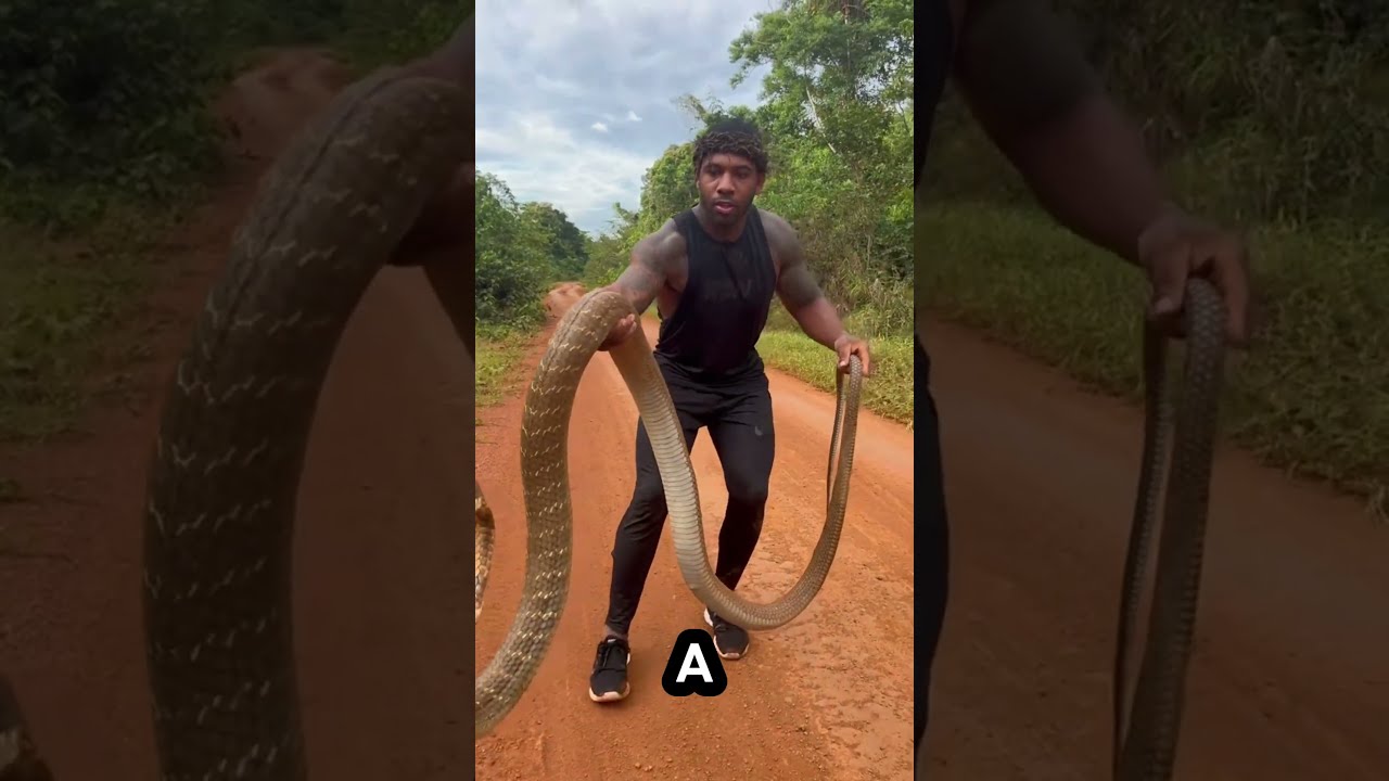 The Real Life Black Tarzan THEREALTARZANNtherealtarzann 