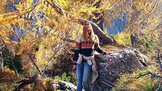 Triglav National Park 4K