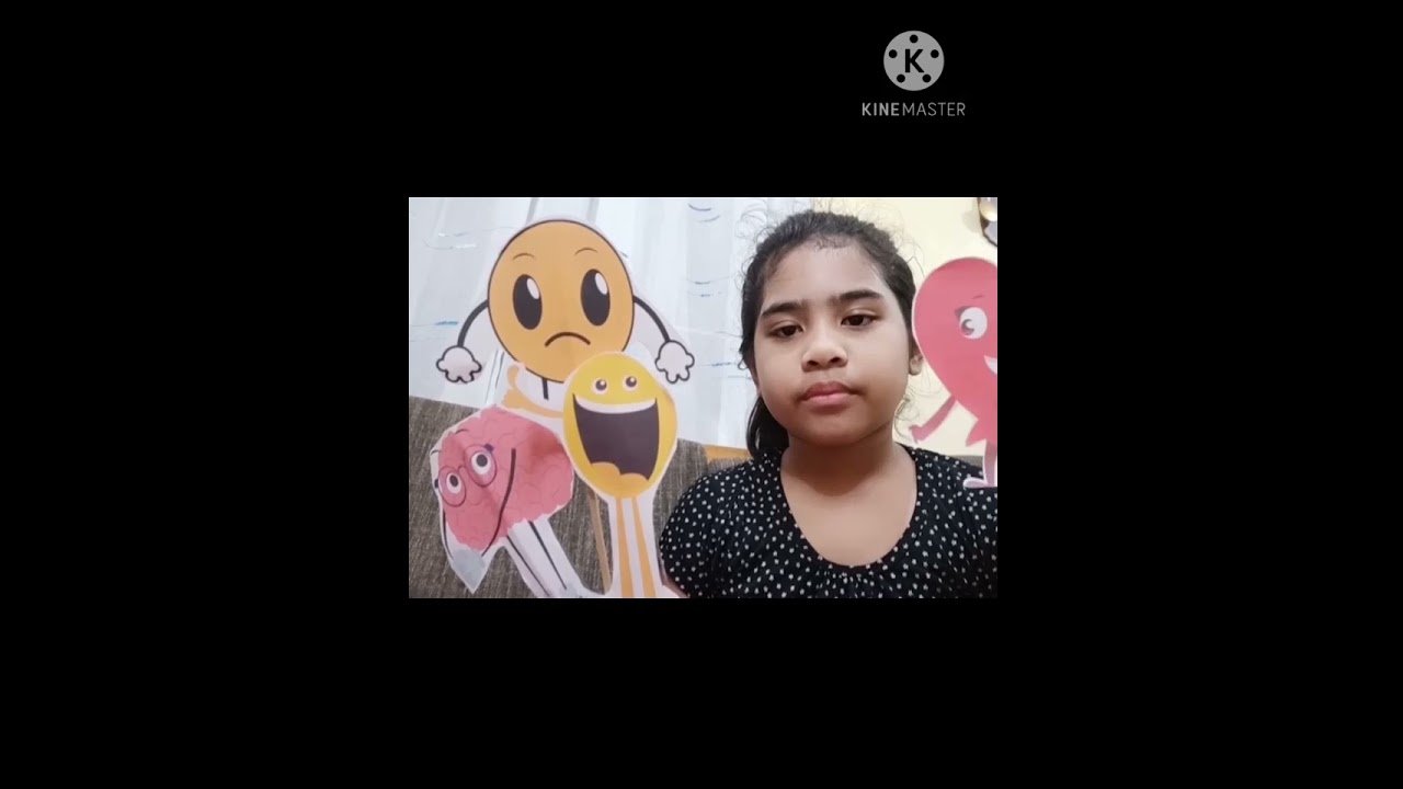 The Story of the Emotions Land