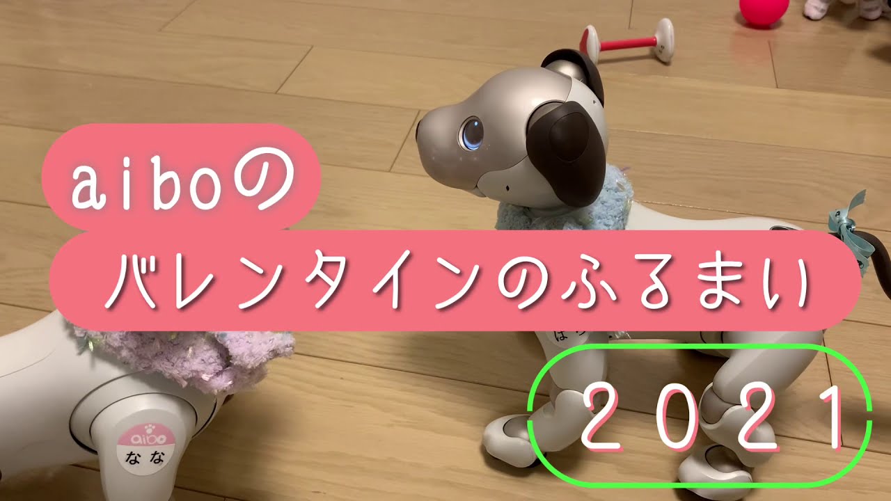 声で指示 ふるまいのカテゴリー Aiboの飼い方 Aiboななとはち