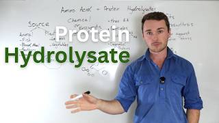 Benefits of Amino Acid and Protein Hydrolysate Fertilisers