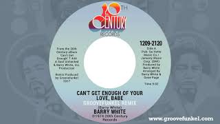 Video thumbnail of "Barry White - Can't Get Enough of Your Love, Babe (Groovefunkel Remix)"