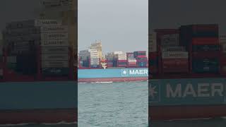 Maersk El Palomar, Container Vessel 335M