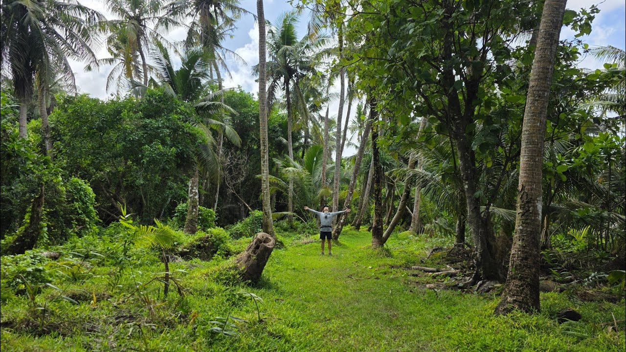 Guam national wildlife refuge (괌 국립 야생동물 보호구역) hiking (2026-02-15)